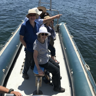 Whale and Dolphin Watching
